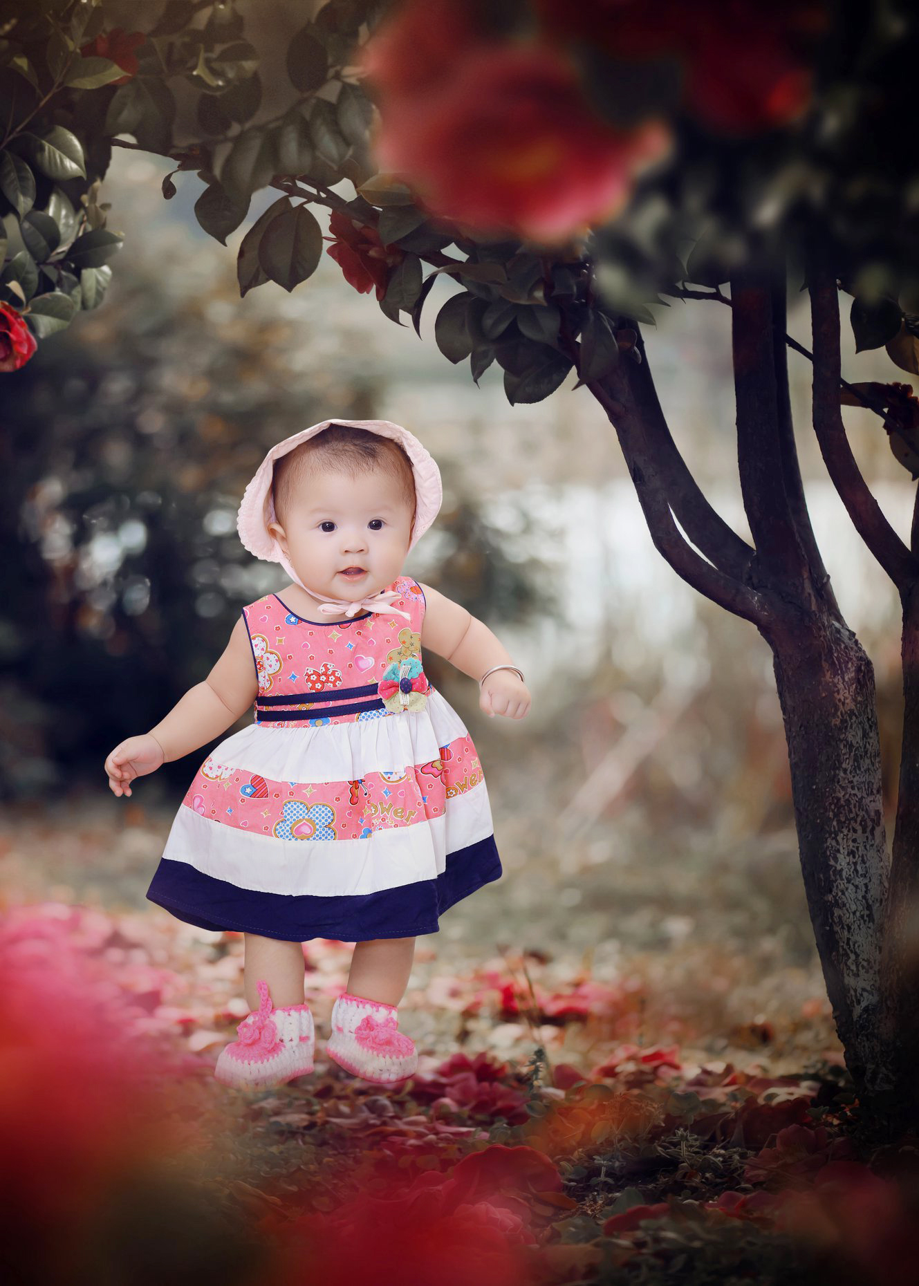 Giá khuyến mãi chụp hình thôi nôi